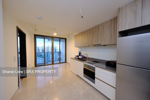 Park Place Residences At Plq (D14), Apartment #244043981